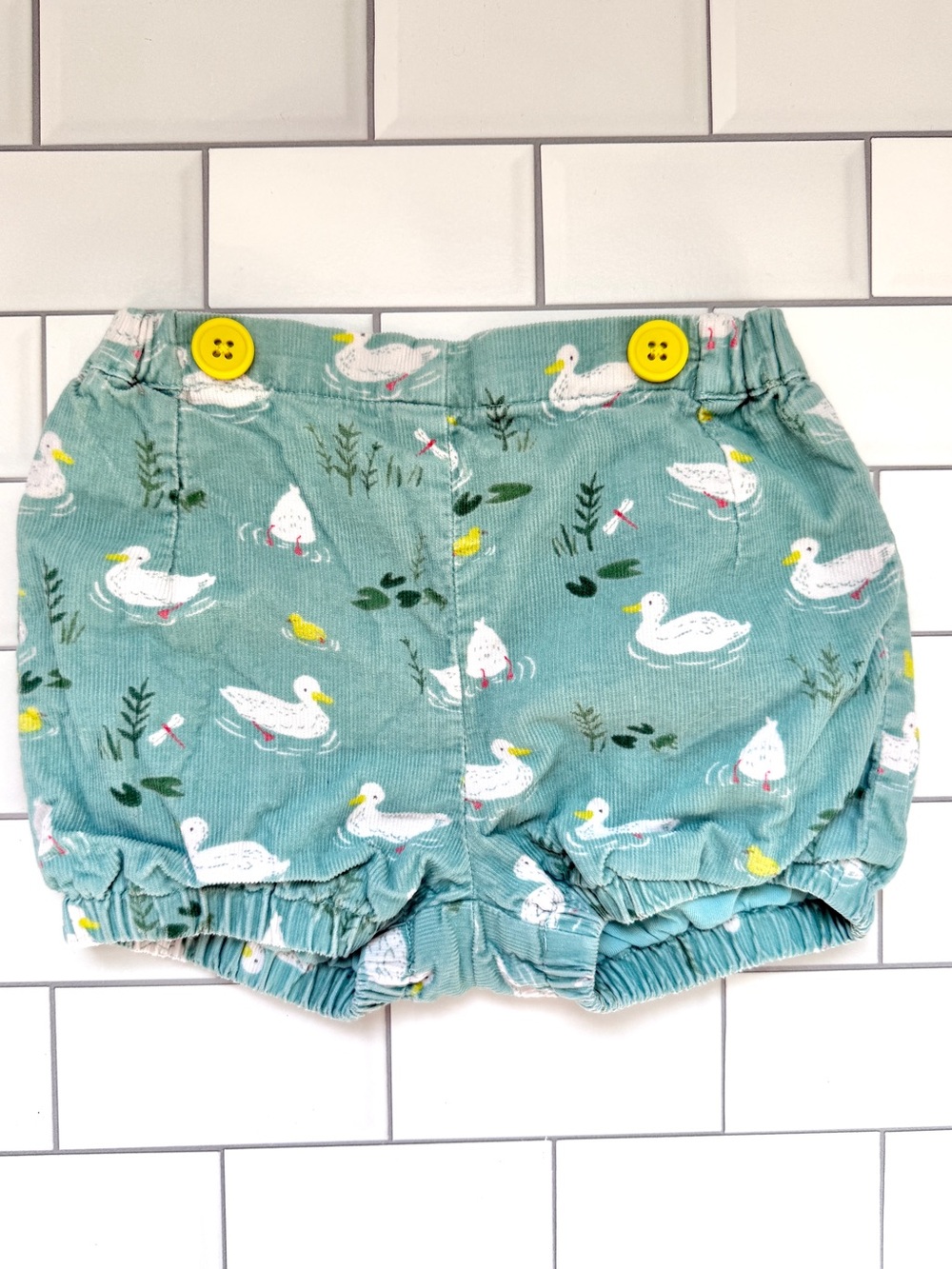 6-12M🦆 Baby Boden Duck Print Corduroy Teal Blue Cord Bloomer Shorts w/ Buttons